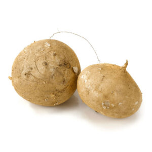 JICAMA MEDIANA