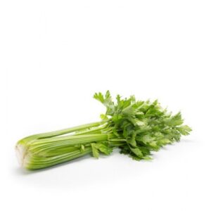APIO TALLO GRUESO COLOR VERDE CLARO, FRESCO TIERNO