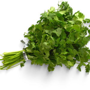 CILANTRO, MANOJO DE 1 KILOGRAMO