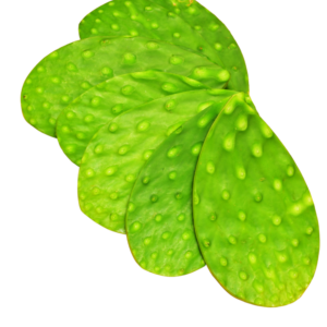 NOPALITOS TIERNOS SIN ESPINAS MEDIANOS