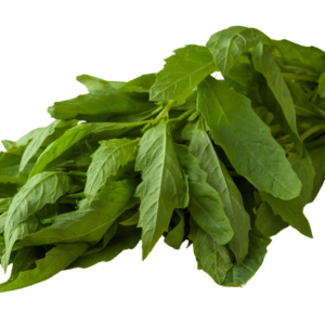 EPAZOTE MANOJO DE 1 KILOGRAMO