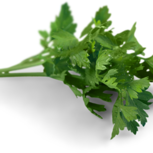 PEREJIL MANOJO DE 1 KILO