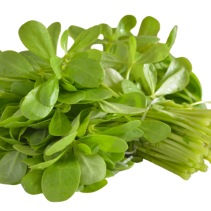 VERDOLAGAS, MANOJO DE 1 KILO