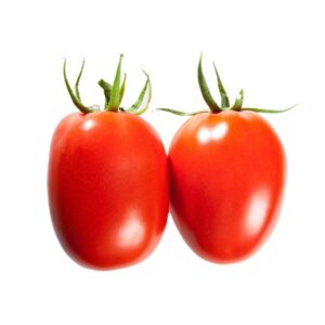 JITOMATE GUAJE PEQUEÑO